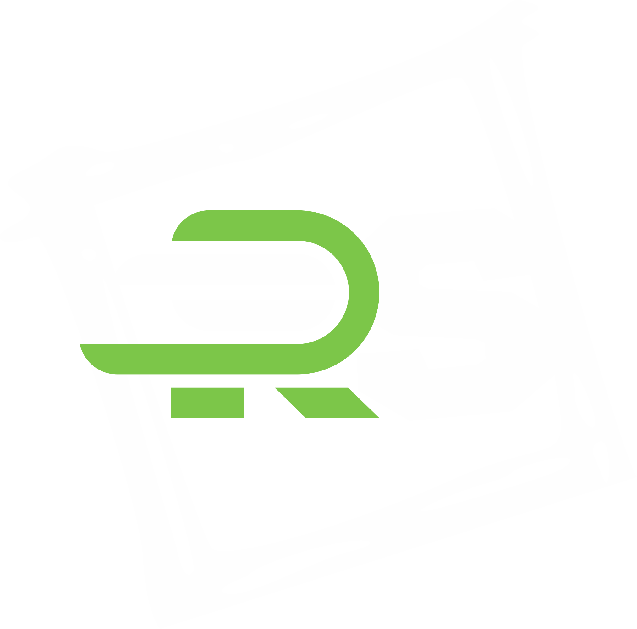logo rs